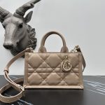 Dior Fashion Bag
