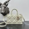 Dior Fashion Bag - Image 7