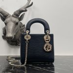 Dior Fashion Bag