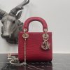 Dior Fashion Bag - Image 5
