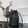 Dior Fashion Bag