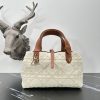 Dior Fashion Bag