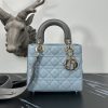 Dior Fashion Bag