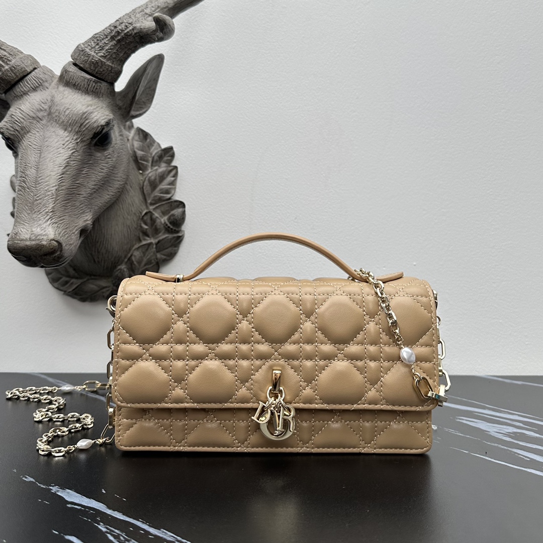 wsxc1779203762665_0 Dior Fashion Bag - Image 1