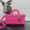 Dior Fashion Bag - Image 13