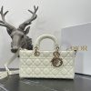 Dior Fashion Bag - Image 18