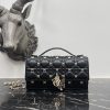 Dior Fashion Bag