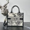 Dior Fashion Bag