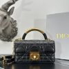 Dior Fashion Bag