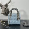 Dior Fashion Bag