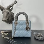 Dior Fashion Bag