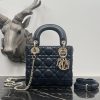 Dior Fashion Bag