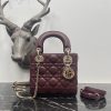 Dior Fashion Bag - Image 7