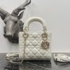 Dior Fashion Bag - Image 10