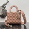 Dior Fashion Bag - Image 5