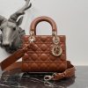 Dior Fashion Bag - Image 12