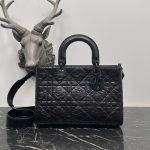 Dior Fashion Bag