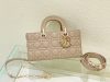 Dior Fashion Bag