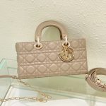 Dior Fashion Bag