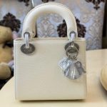 Dior Fashion Bag
