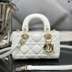 Dior Fashion Bag