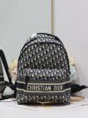 Dior Fashion Bag