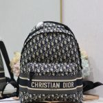Dior Fashion Bag