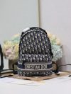 Dior Fashion Bag