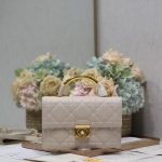 Dior Fashion Bag
