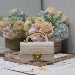 Dior Fashion Bag
