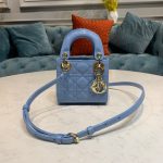 Dior Fashion Bag