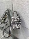 Dior Fashion Bag