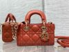 Dior Fashion Bag - Image 3