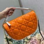 Dior Fashion Bag