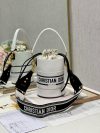 Dior Fashion Bag