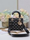 Dior Fashion Bag