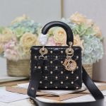 Dior Fashion Bag