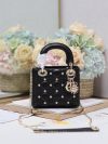 Dior Fashion Bag