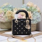 Dior Fashion Bag