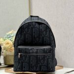 Dior Fashion Bag