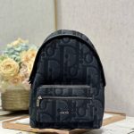 Dior Fashion Bag