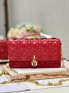 Dior Fashion Bag - Image 9
