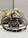 Dior Fashion Bag