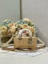 Dior Fashion Bag