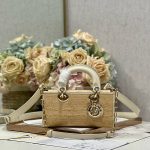 Dior Fashion Bag