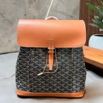 Goyard Fashion Bag