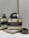 Dior Fashion Bag