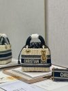 Dior Fashion Bag