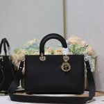 Dior Fashion Bag