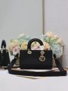 Dior Fashion Bag
